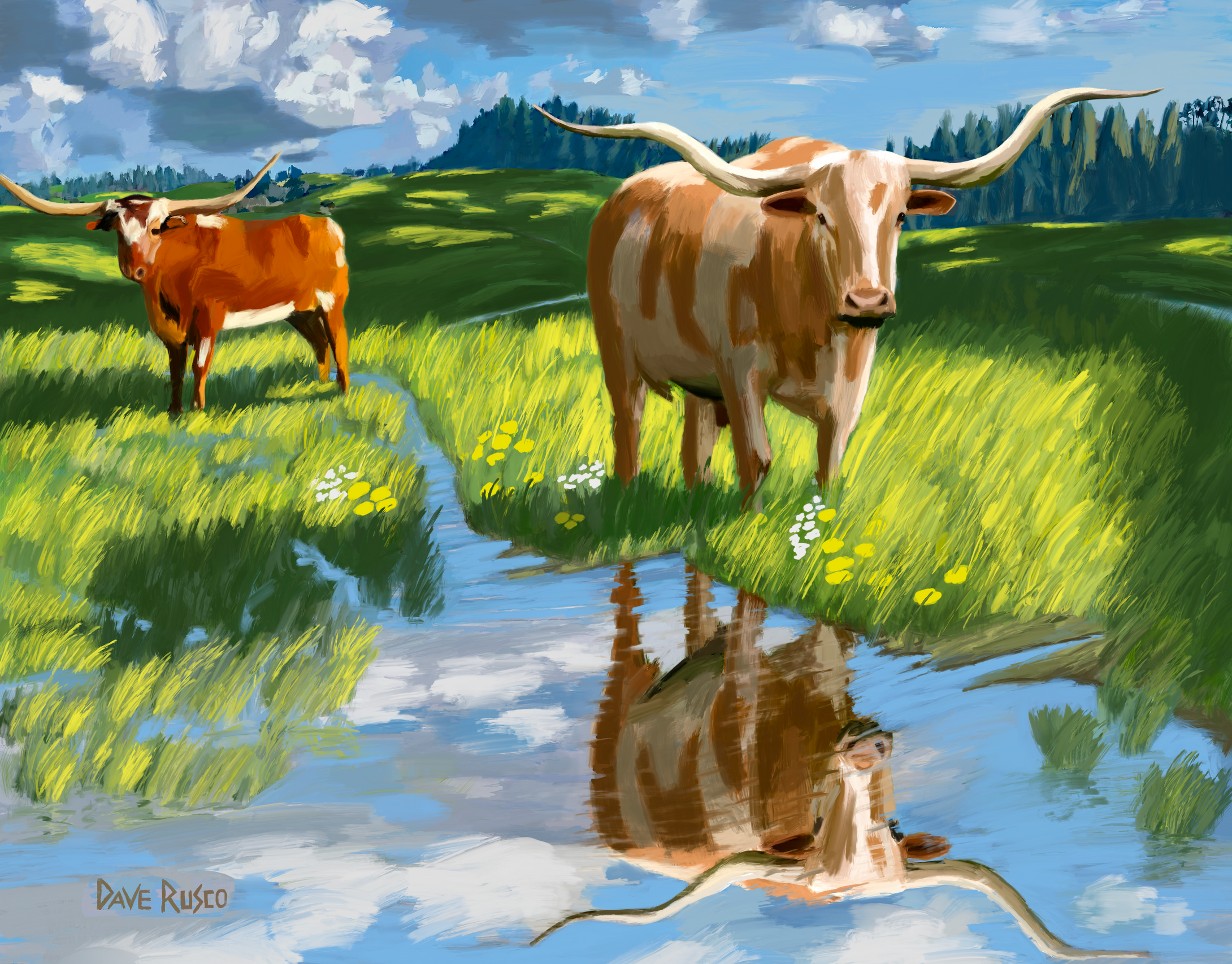 Sunlit Longhorns, Digital painting