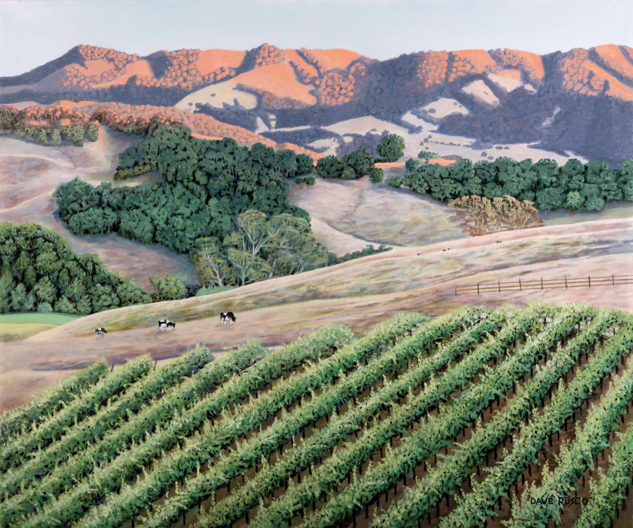 California Vineyard at Sunset. Oil on Canvas. Reproduction on canvas 16x20