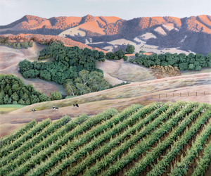 California Vineyard at Sunset. Oil on Canvas. Reproduction on canvas 16x20